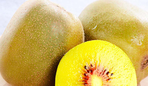 赣南三百山红心猕猴桃