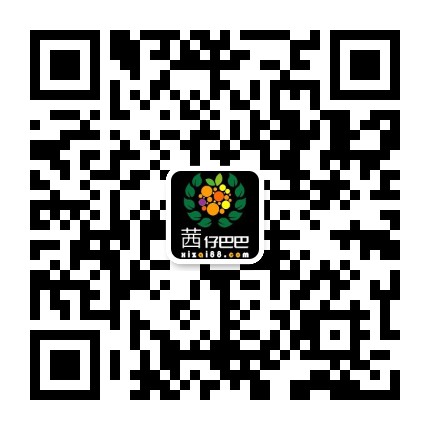 茜仔巴巴联系人微信